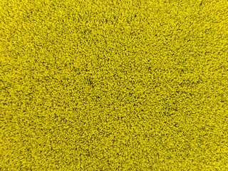 Abstract aerial top view of rapeseed field at low altitude, Muensterland, Nordrhein-Westfalen, Germany.