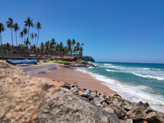 beach with palm trees