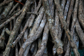 dry wood that will be burned for the bonfire tonight