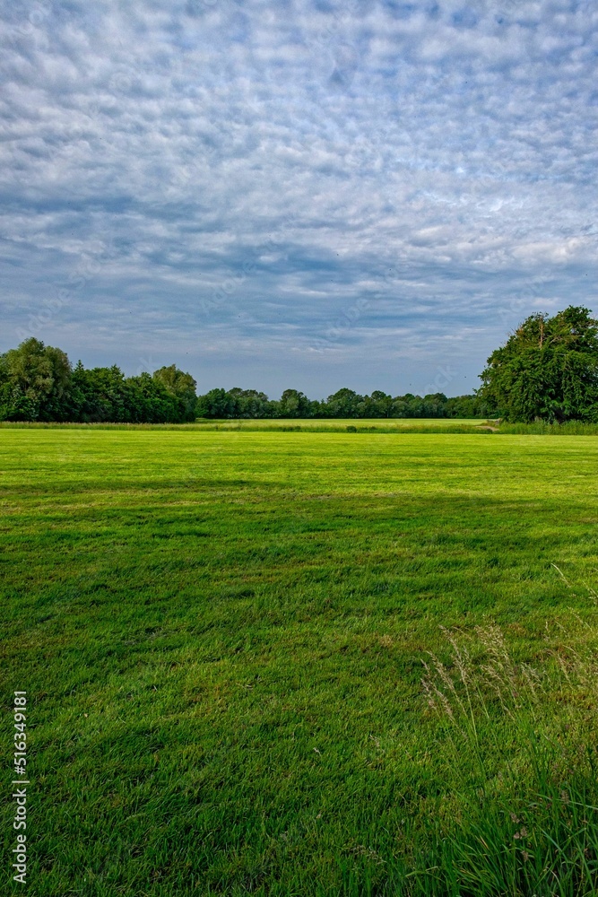 Sticker vertical shot of green grass field with trees in the background under a cloudy sky