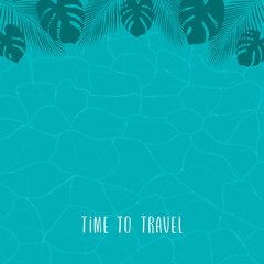 palm beach turquoise water on a sunny day summer background