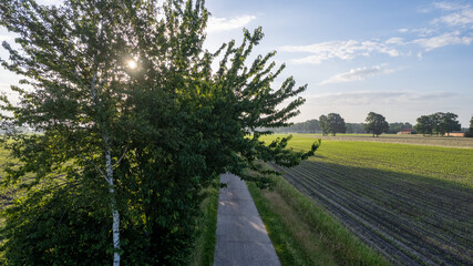 Agricultural aerial drone shot of level lines of Crop farming plantation rural setting during sunrise or sunset. High quality photo