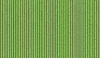 Bamboo fence. Textured background with wooden pattern.