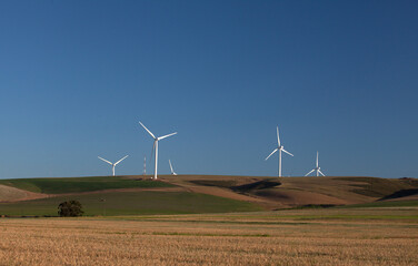 Wind turbines near Caledon, Western Cape, South Africa.