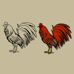 chicken vector illustrations specially made for branding needs and much more
