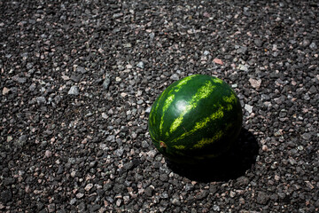 A ripe large green striped whole watermelon lies on the surface of small pebbles.