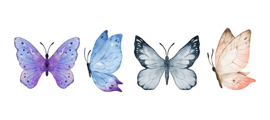 Obraz na płótnie Canvas Colorful butterflies watercolor isolated on white background. Purple, blue, gray or silver and cream pink butterfly. Spring animal vector illustration