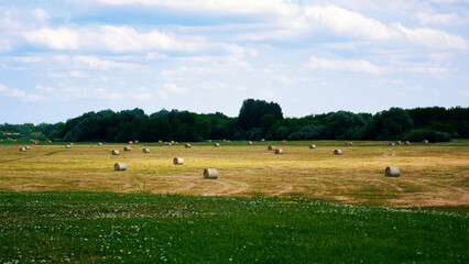 Summer rural landscape. View of a field with bales of cut hay