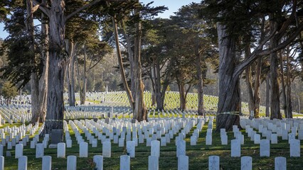 Gravestones at National Cemetery of San Francisco surrounded by trees