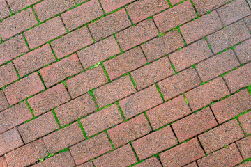 The texture of paving with red stone, green moss sprouts through the joints of paving slabs. Diagonal arrangement. Copy Space