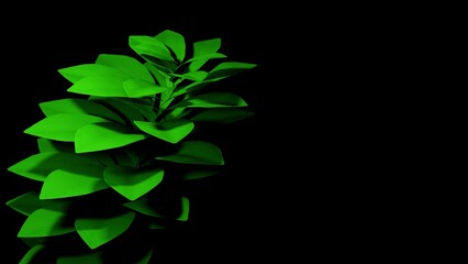 3D illustration of light green leaves on a black background