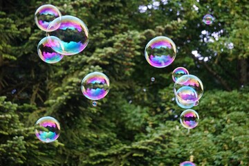 Beautiful view of soap bubbles in the air on the blurred background of green trees