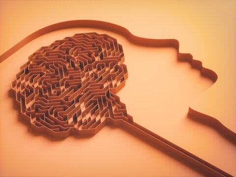 Brain Maze Cerebral Behavior Concept