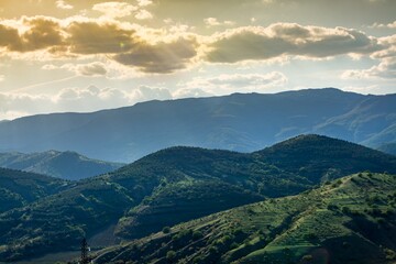 Panoramic view of a summer evening in the mountains, green meadows, mountain and hills