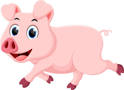 Cute Pig cartoon, isolated on white background