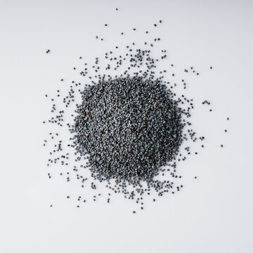 poppy seeds on a white acrylic background