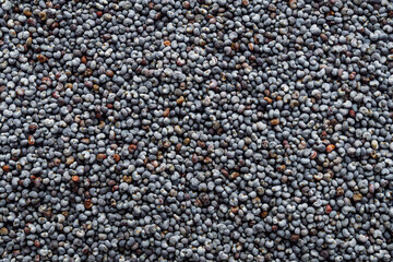 poppy seeds on a white acrylic background
