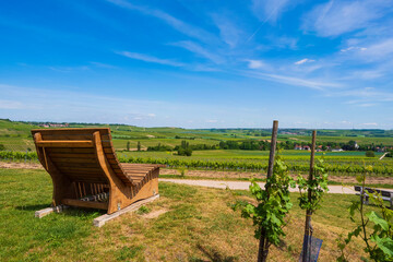 A comfortable bench in the vineyards of Rheinhessen/Germany with a magnificent panoramic view - obrazy, fototapety, plakaty
