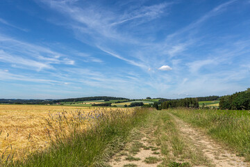 Fototapeta na wymiar Countryside landscape: Rural fields in upper Palatinate, bavaria, germany in summer
