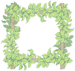 木と葉のフレーム