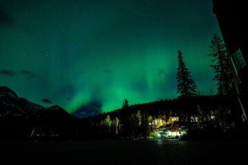 Mesmerizing view of the Northern Lights against the silhouettes of the trees in Canada