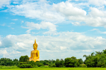 Golden Buddha statue sitting in a tree against a bright sky background in Ang Thong, Thailand. Concept leaves space.