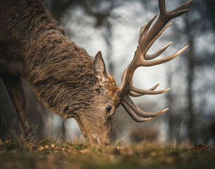 Here is a selection of my best wildlife photography taken over a period of 2 years 