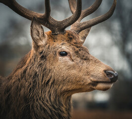 Here is a selection of my best wildlife photography taken over a period of 2 years 