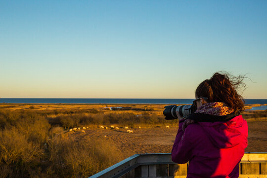 Young girl walking and photographing birds in AIguamolls De L Emporda Nature Park, Spain