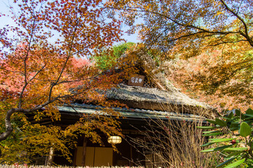 京都嵐山から嵯峨野周辺の紅葉