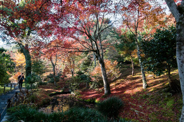 京都嵐山から嵯峨野周辺の紅葉