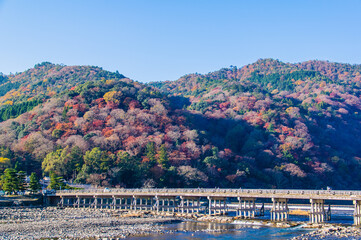 Fototapeta na wymiar 京都嵐山の紅葉