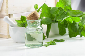 Fresh spearmint leaves and a small bottle with essential mint oil.