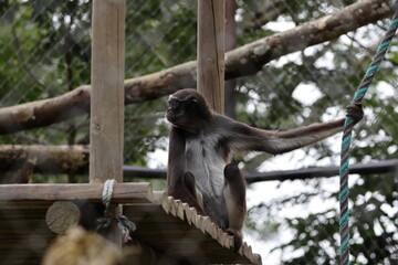 Imágenes de animales hermosos con bellos colores