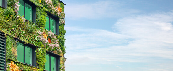 Exterior of a green sustainable building covered with blooming vertical hanging plants in front of a blue sky - 516371526