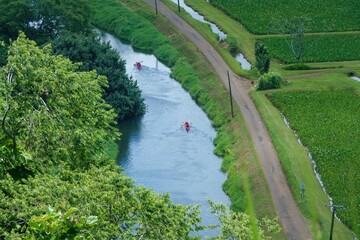 Aerial view of people kayaking in small river along the green fields in the island of Kauai, Hawaii