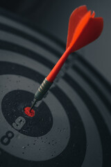 Bullseye is a target of business. Dart is an opportunity and Dartboard is the target and goal. So...