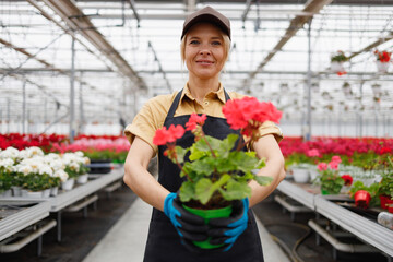 Portrait of pretty woman florist with flower in pot. Floriculture business owner