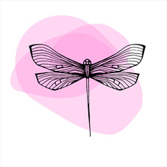 Dragonfly icon vector illustration on abstract background. Dragonfly logo.