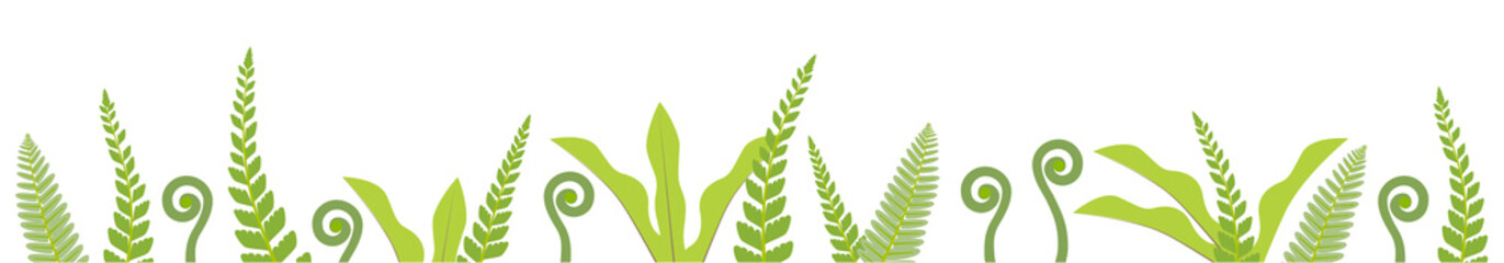 緑のシダの森のボーダー飾り