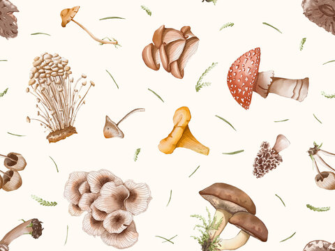 Mushrooms - hand drawn watecolour forest botanical seamless pattern on white background - for fabric, wallpaper, stationary