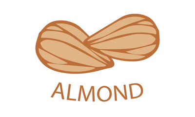 Almond icon. Hand draw illustration of almond vector icon for web