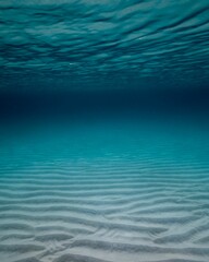 Vertical shot of an idyllic underwater landscape