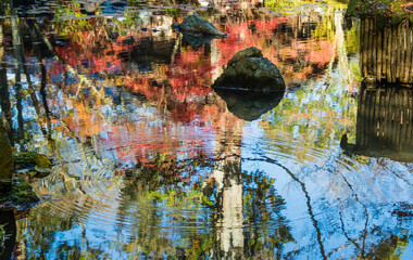 京都南禅寺から紅葉の永観堂