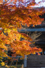 南禅寺から紅葉の永観堂
