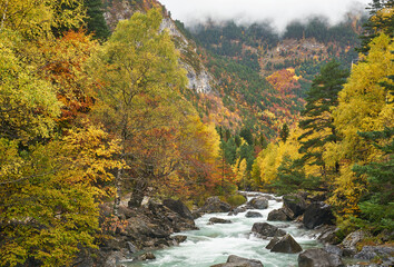 Colorful autumn season on Ordesa and Monte Perdido national park in Pyrenees of Spain..Ara river in Bujaruelo