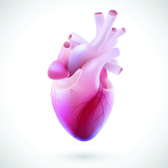 3D illustration of the vascular tubes of the human heart. use in medicine and education