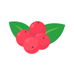 brown roasted coffee beans It has a bitter aroma and taste. For brewing with hot drinking water