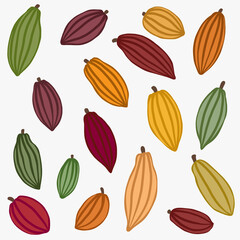 Cacao pods which is raw ingredient for chocolate freehand drawing.