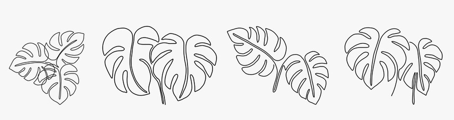 Simplicity monstera leaf freehand continuous line drawing flat design.